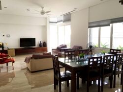 Shamrock Park (D10), Terrace #574052521